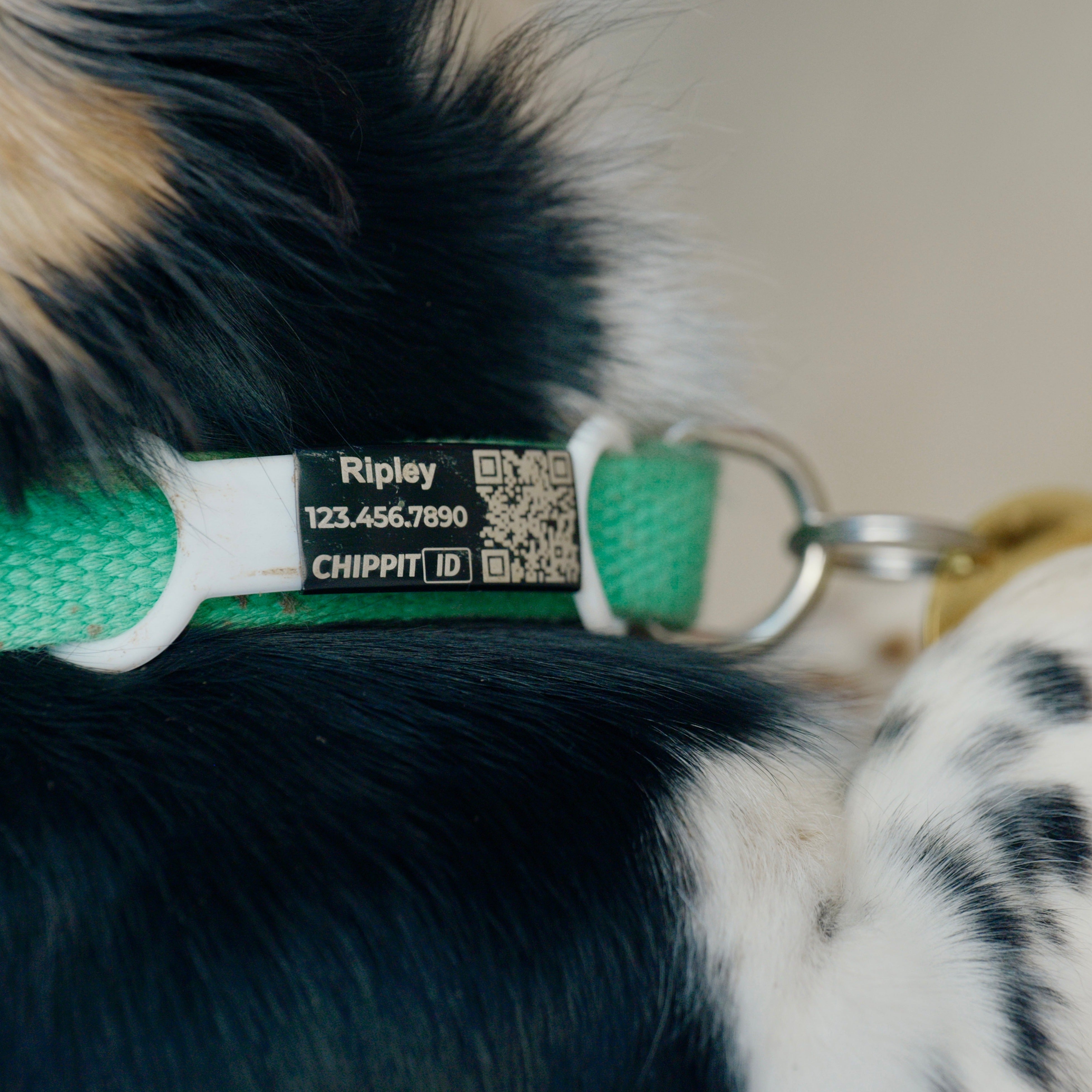 Premium Silent QR Tag