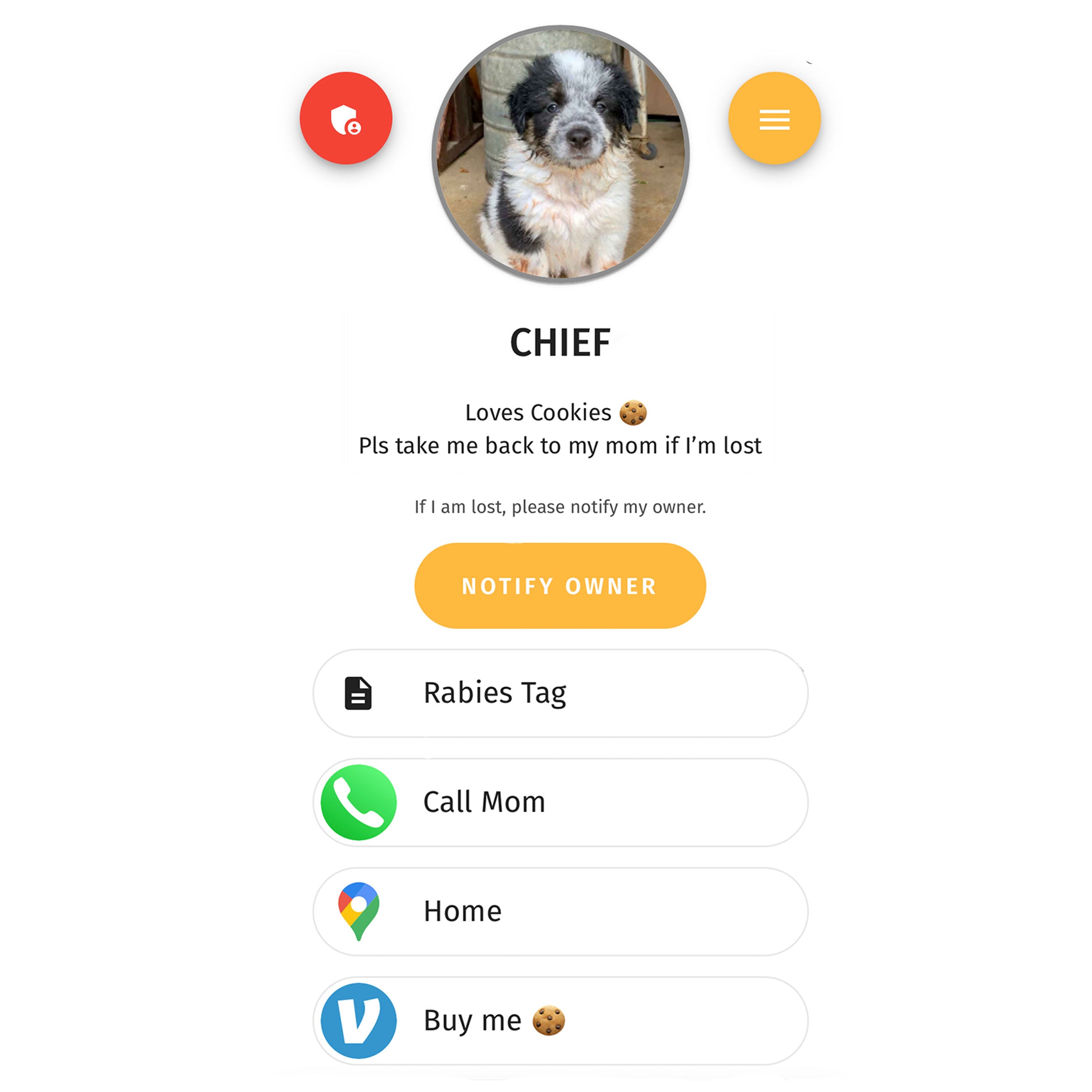 Premium QR Dog Tag - Anchor