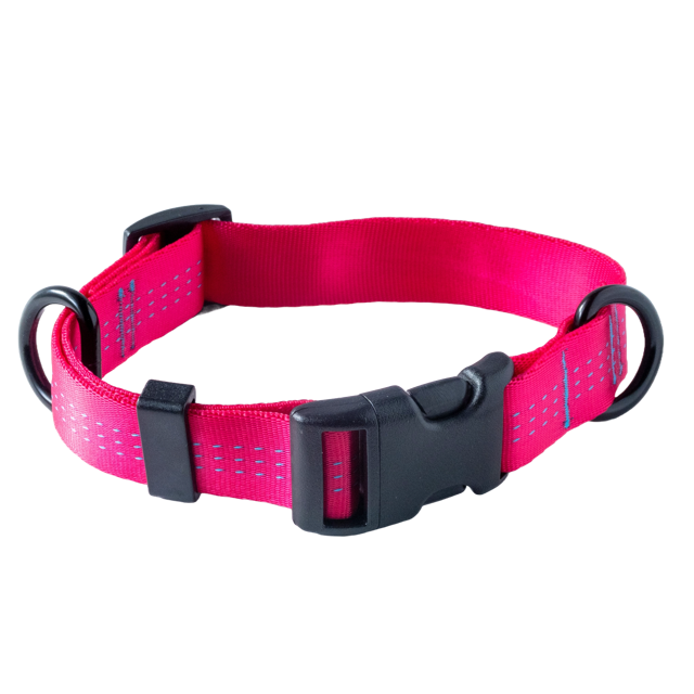 Highland Hound Better Collar